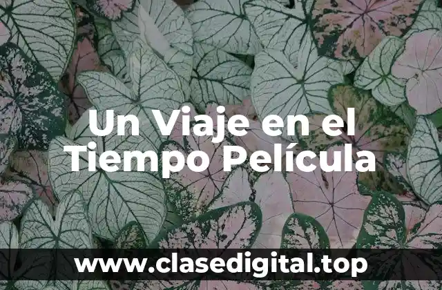 Un Viaje en el Tiempo Película