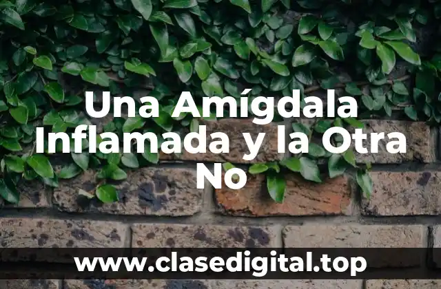 La Función de la Amígdala en el Cerebro