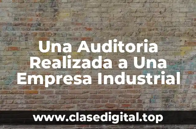 Una Auditoria Realizada a Una Empresa Industrial