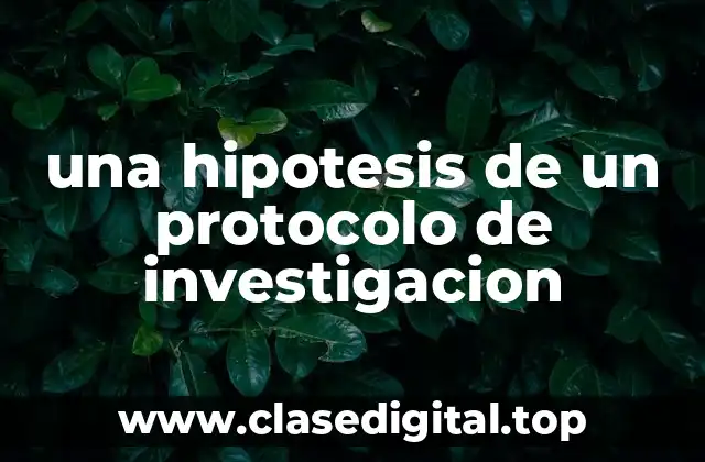 una hipotesis de un protocolo de investigacion