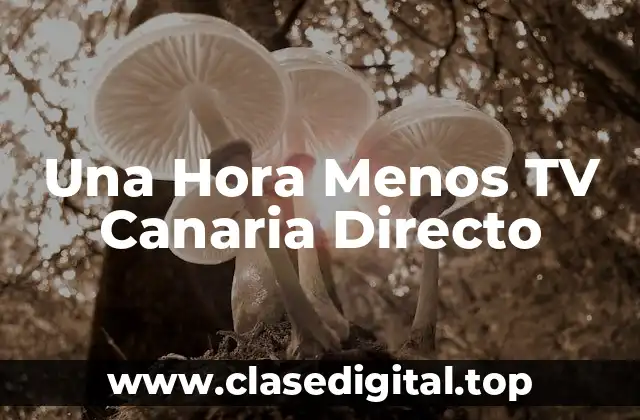 Una Hora Menos TV Canaria Directo