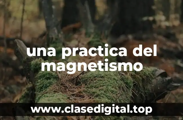 una practica del magnetismo
