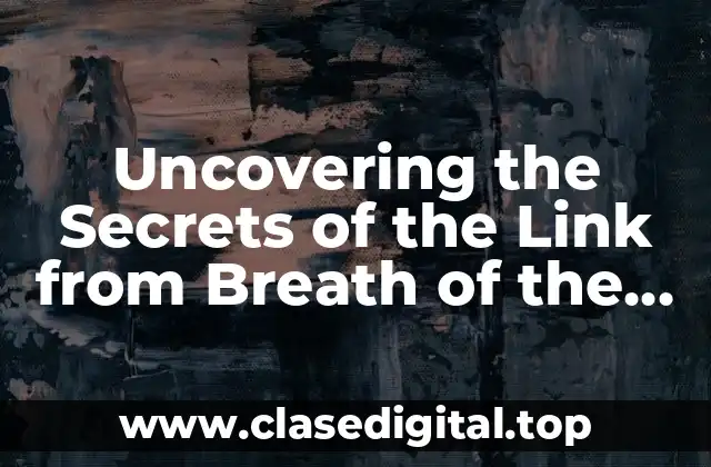 Uncovering the Secrets of the Link from Breath of the Wild