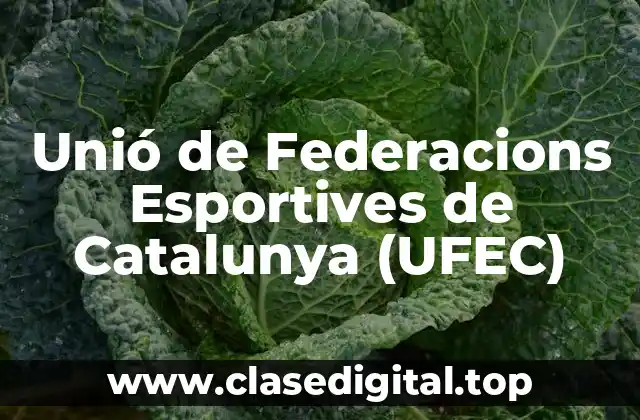 Unió de Federacions Esportives de Catalunya (UFEC)