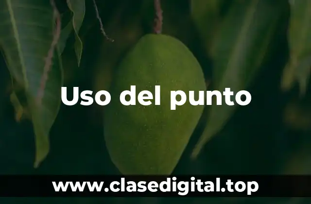 Uso del punto