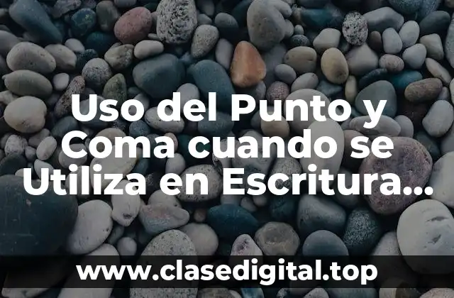 Uso del Punto y Coma cuando se Utiliza en Escritura Correcta
