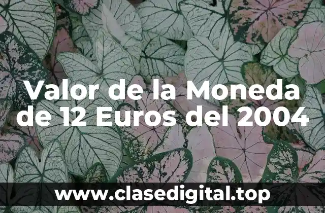 Valor de la Moneda de 12 Euros del 2004