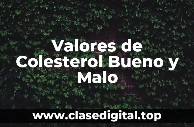 Valores de Colesterol Bueno y Malo