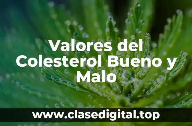 Valores del Colesterol Bueno y Malo