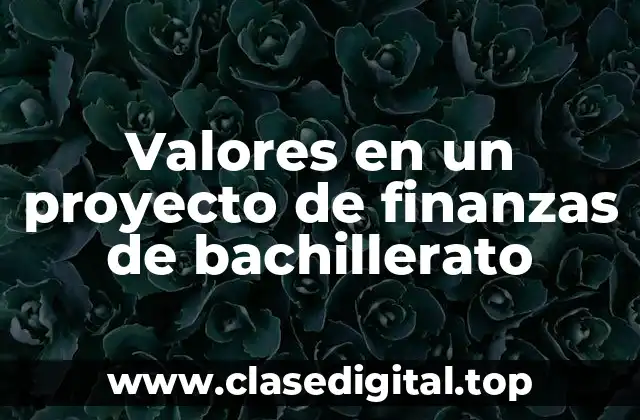 Valores en un proyecto de finanzas de bachillerato