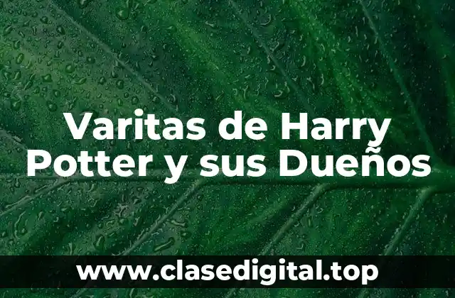 Varitas de Harry Potter y sus Dueños