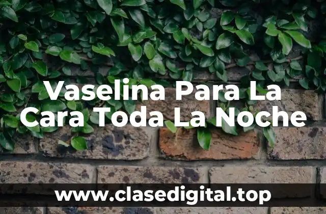 Vaselina Para La Cara Toda La Noche