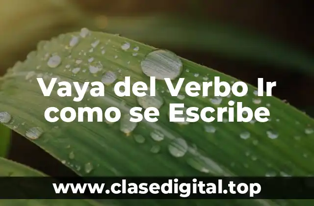 Vaya del Verbo Ir como se Escribe