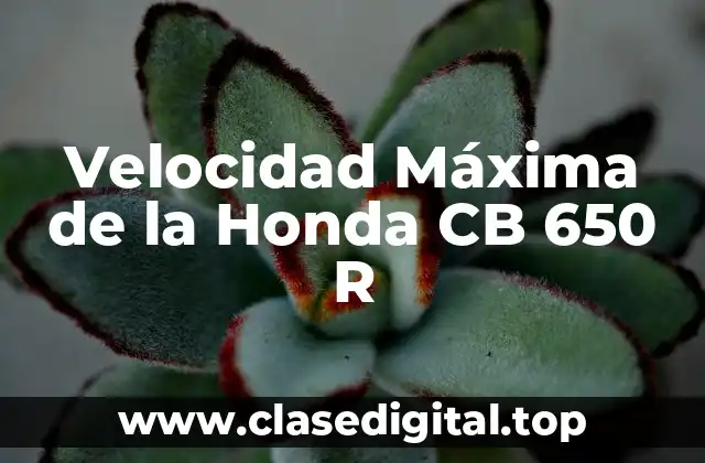 ¿Cuál es la Velocidad Máxima de la Honda CB 650 R?