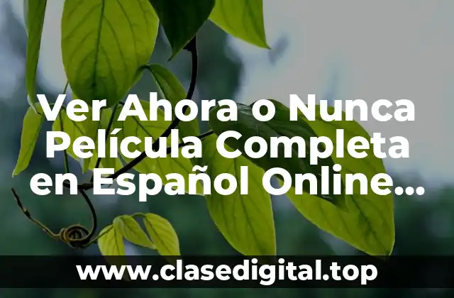 Ver Ahora o Nunca Película Completa en Español Online Gratis