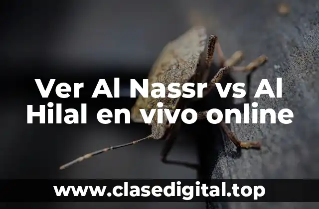 Ver Al Nassr vs Al Hilal en vivo online