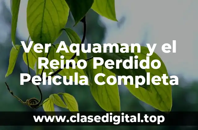 Ver Aquaman y el Reino Perdido Película Completa