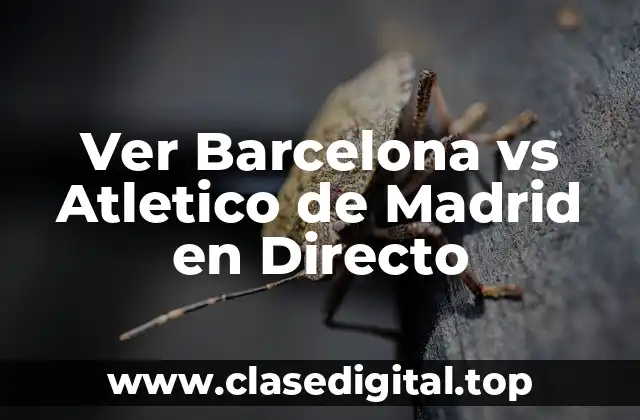 Ver Barcelona vs Atletico de Madrid en Directo