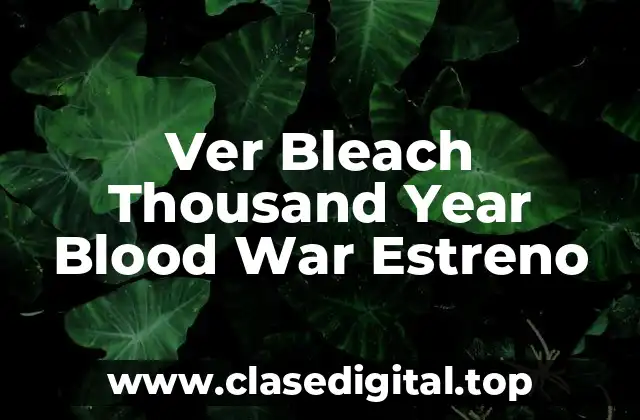 Ver Bleach Thousand Year Blood War Estreno