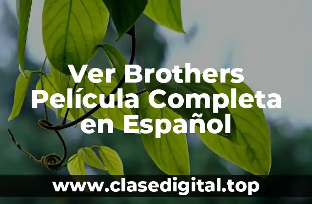 ¿Qué es la película Brothers?