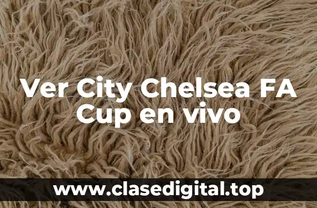 Ver City Chelsea FA Cup en vivo