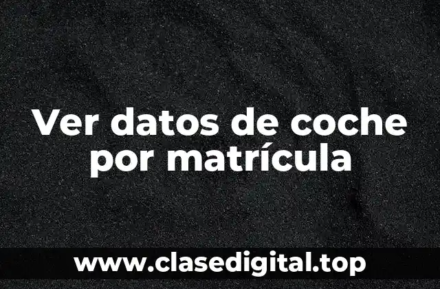 Ver datos de coche por matrícula