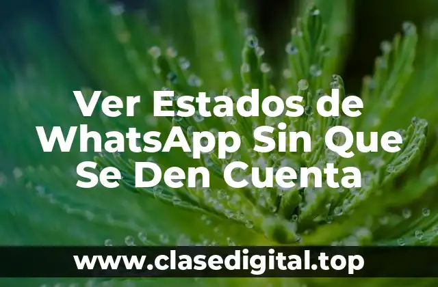 Ver Estados de WhatsApp Sin Que Se Den Cuenta