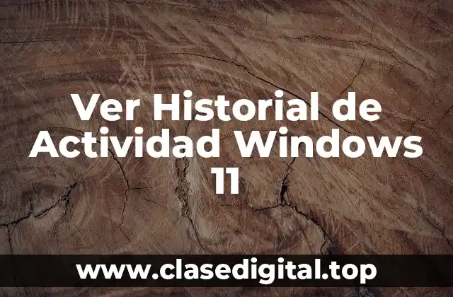 Ver Historial de Actividad Windows 11
