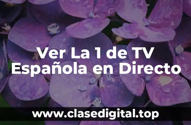 Ver La 1 de TV Española en Directo
