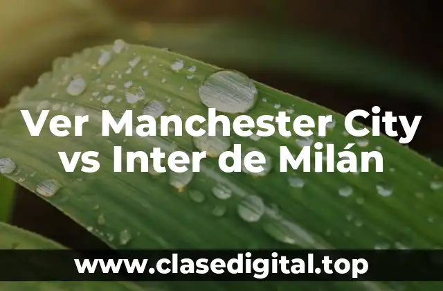 Ver Manchester City vs Inter de Milán