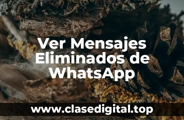 Ver Mensajes Eliminados de WhatsApp