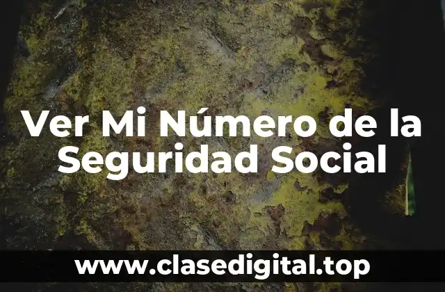 ¿Qué es el Número de la Seguridad Social?