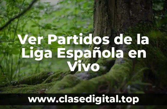 Ver Partidos de la Liga Española en Vivo