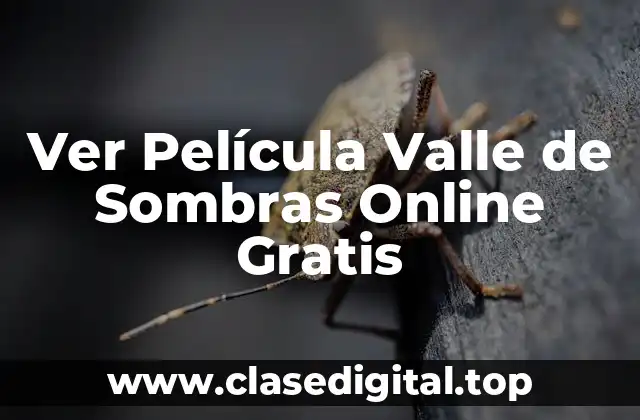 Ver Película Valle de Sombras Online Gratis
