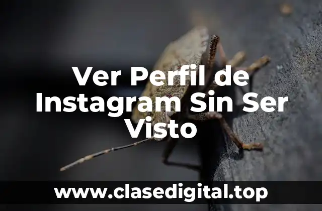 Ver Perfil de Instagram Sin Ser Visto