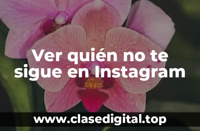 ¿Por qué es importante verificar quién no te sigue en Instagram?