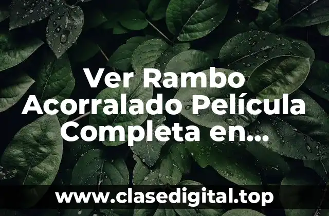Ver Rambo Acorralado Película Completa en Español YouTube Gratis