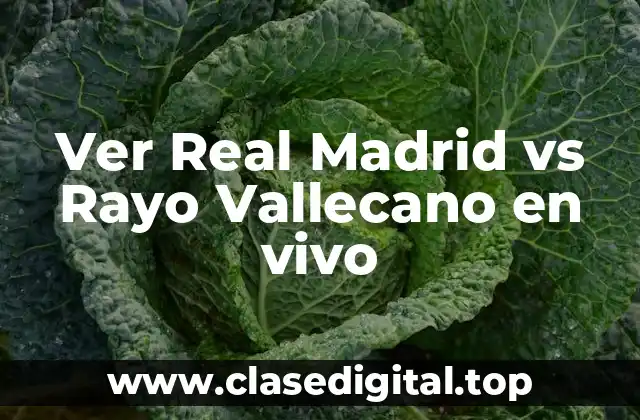 Ver Real Madrid vs Rayo Vallecano en vivo
