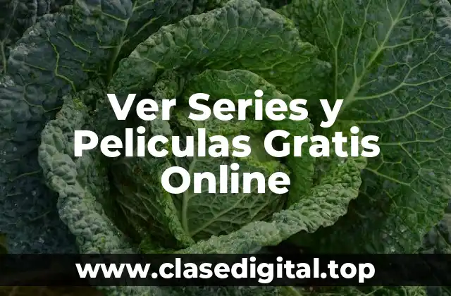 ¿Qué son las Páginas para Ver Series y Peliculas Gratis Online?