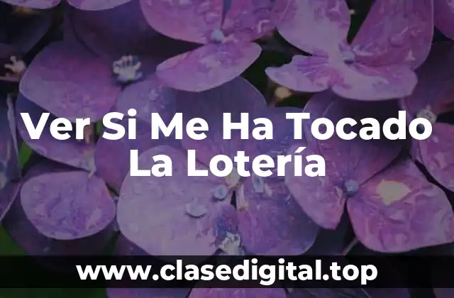 Ver Si Me Ha Tocado La Lotería