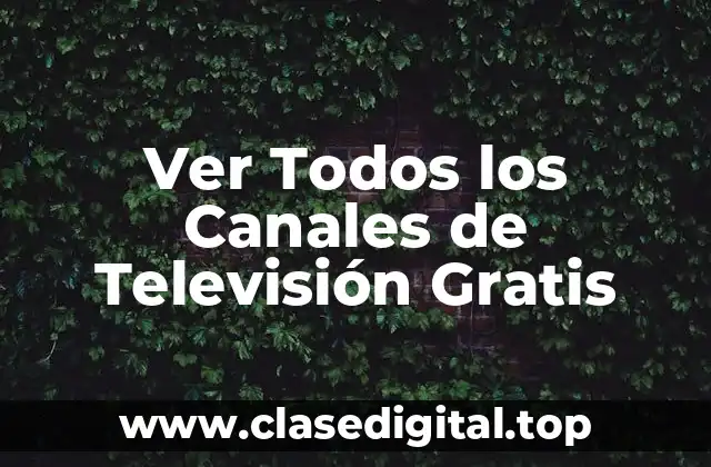¿Qué son los Canales de Televisión en Línea?