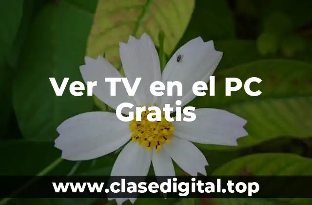 Ver TV en el PC Gratis