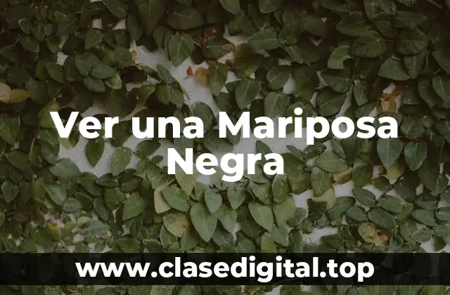 Ver una Mariposa Negra