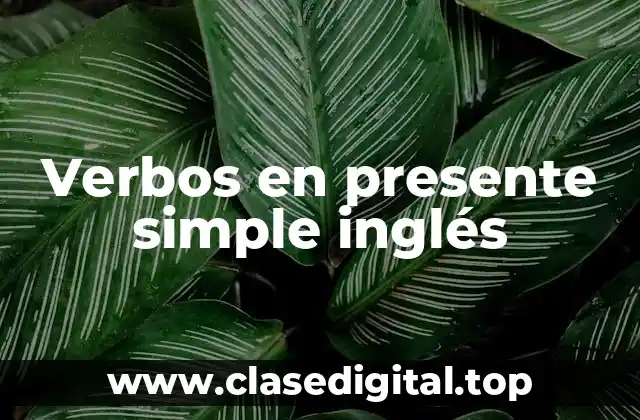 Verbos en presente simple inglés