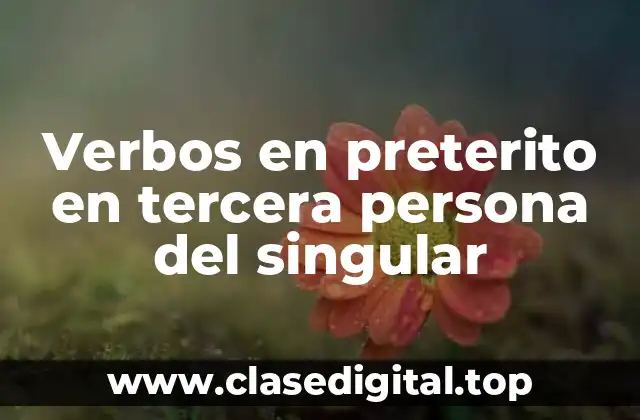 Verbos en preterito en tercera persona del singular