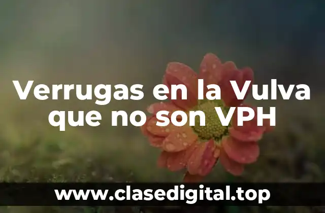 Verrugas en la Vulva que no son VPH