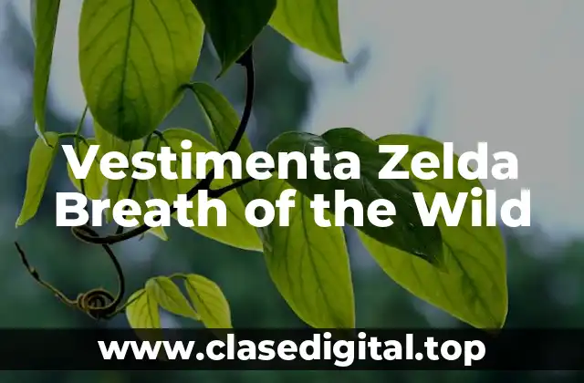 Beneficios de la Vestimenta en Zelda Breath of the Wild