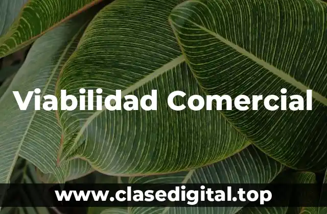 Viabilidad Comercial