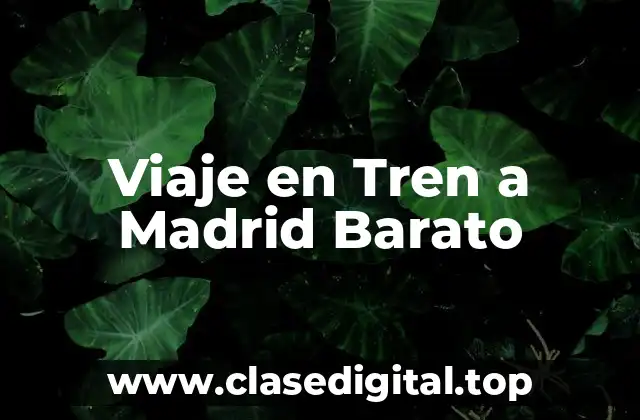 Viaje en Tren a Madrid Barato