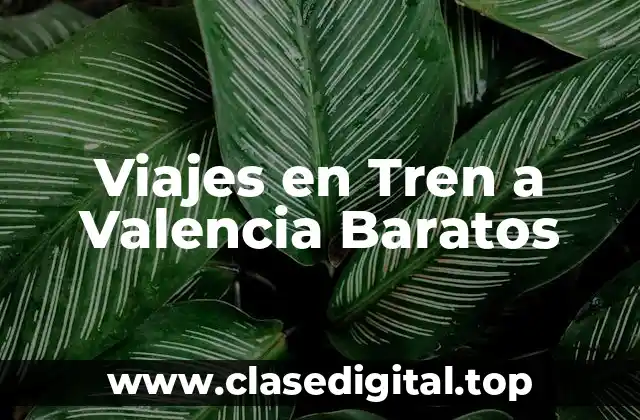 ¿Por qué Escoger el Tren para Viajar a Valencia?